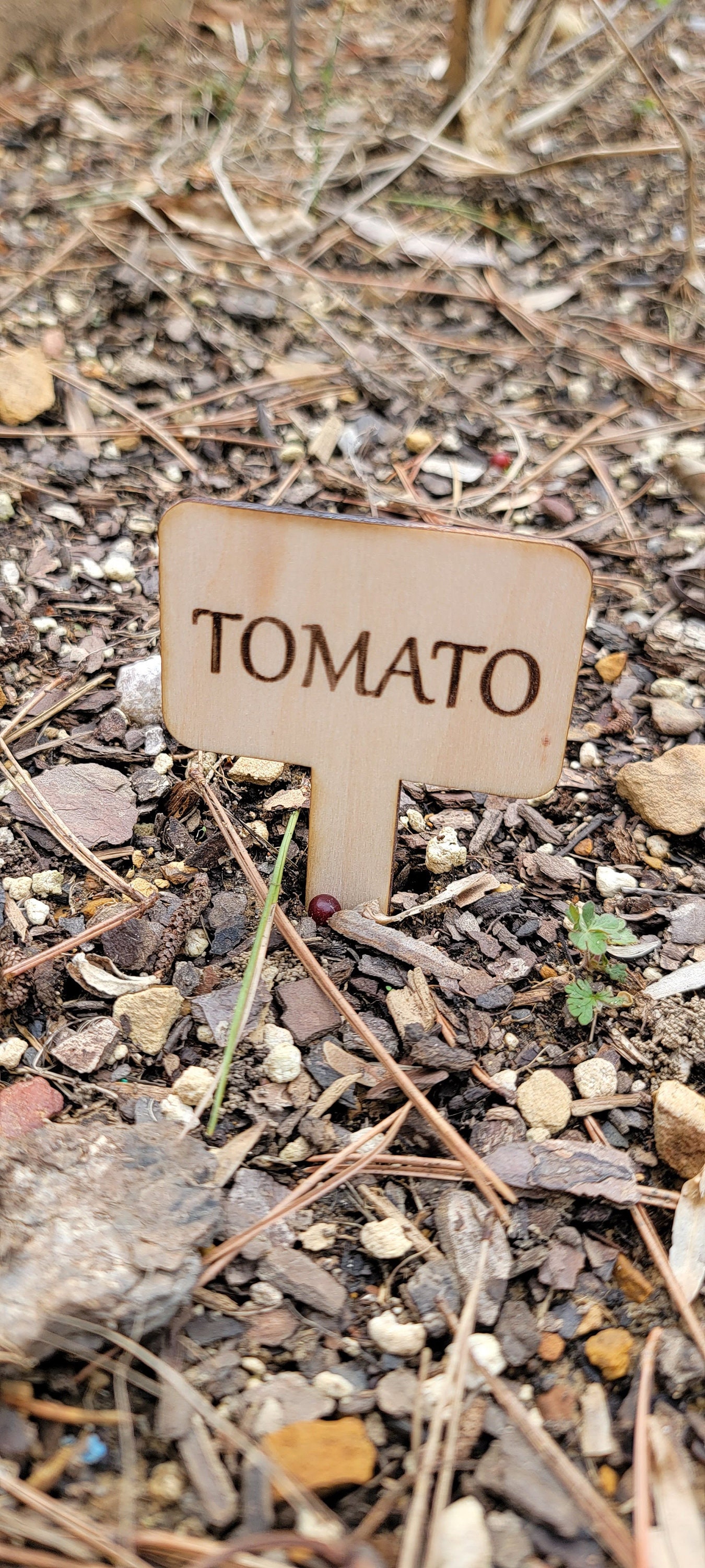 10 Garden Plant Label Stakes Etsy