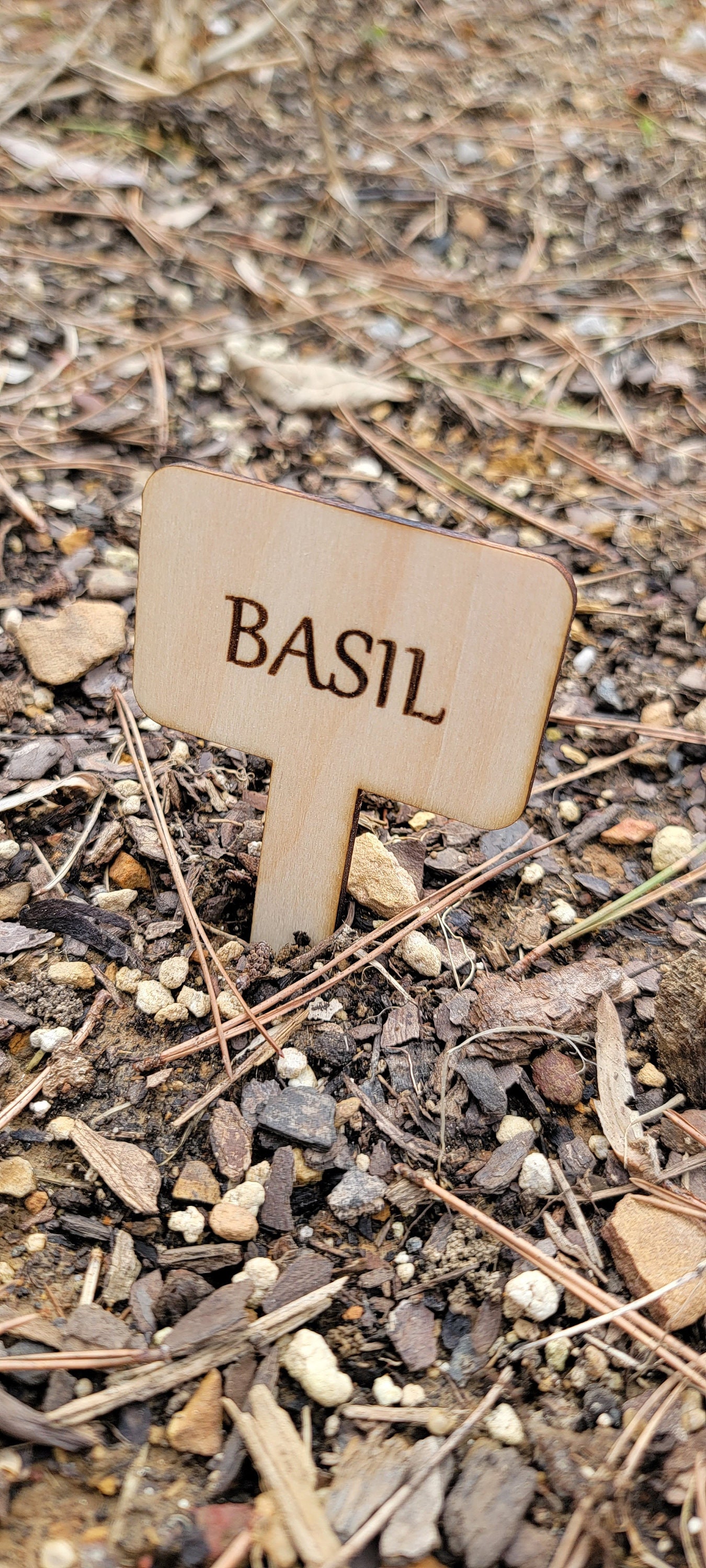 10 Garden Plant Label Stakes Etsy