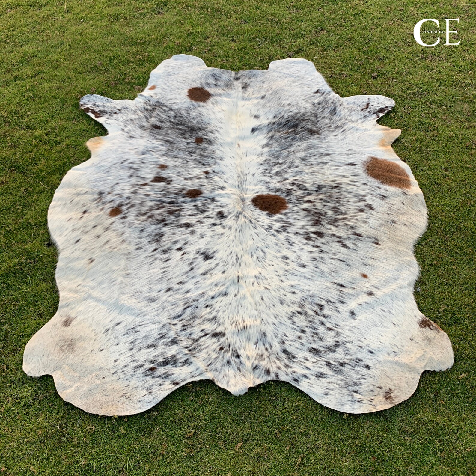 SPECKLED COWHIDE RUG Small Tricolor Cowhide Rug Brindle Etsy