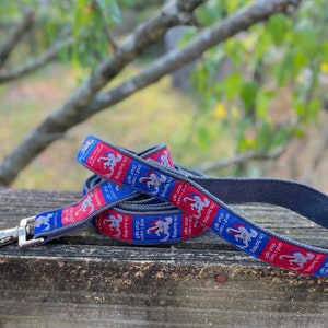 Hemp dog leash, cartoon dog, hypoallergenic, eco-friendly, earth friendly, machine wash, vegan, new dog gift, red and blue