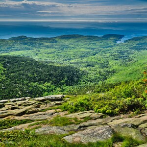 Acadia National Park Wall Art Wall Print, rocky coastline in Maine at Monument Cove East coast Atlantic Ocean Bar Harbor, Maine