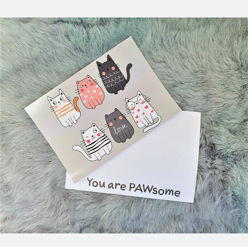 Cat Lover Socks in a Box Gift Cats Hamper Box Set for Her Etsy UK