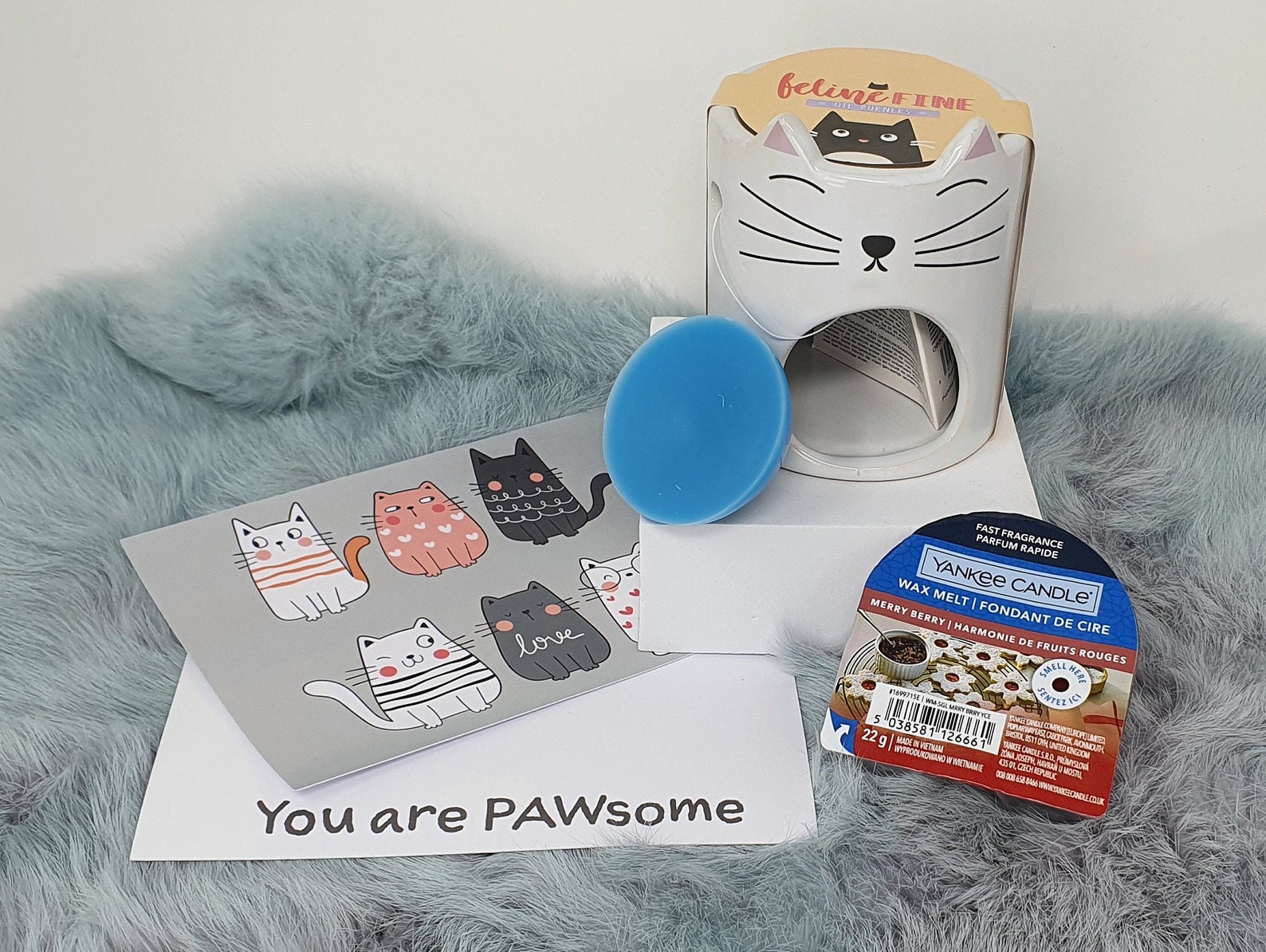 Cat Lover Cats Yankee Candle Melts Hamper Gift Box Set for Her Etsy UK