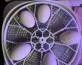 Nurture 360 Incubator Egg Turners Multiple Egg Sizes Available