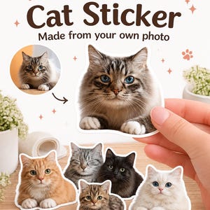 May include: A custom die-cut sticker featuring a brown and grey tabby cat with blue eyes. The text reads: Personalised Cat Sticker Made from your own photo. Send me a photo of your cat — I'll turn it into a sticker! Includes various cat stickers.