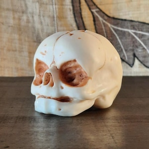 Human baby Skull replica- High quality, High detail, Resin handmade Sculpture, Oddities, Home Decor, Desk friend