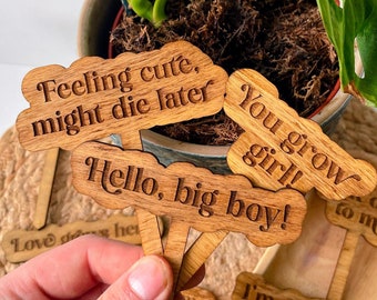 Funny Plant Stakes | Plant Markers | Garden Decor | House Plant Accessories | Wooden Plant Markers | Housewarming Gift | Teacher Plant Gift