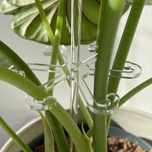 Acrylic Plant Stem Hook Support With Stake | Small 7.5 cm | Medium 12.5 cm | Large 18 cm | Acrylic Stake 34 cm | Single or Multipack