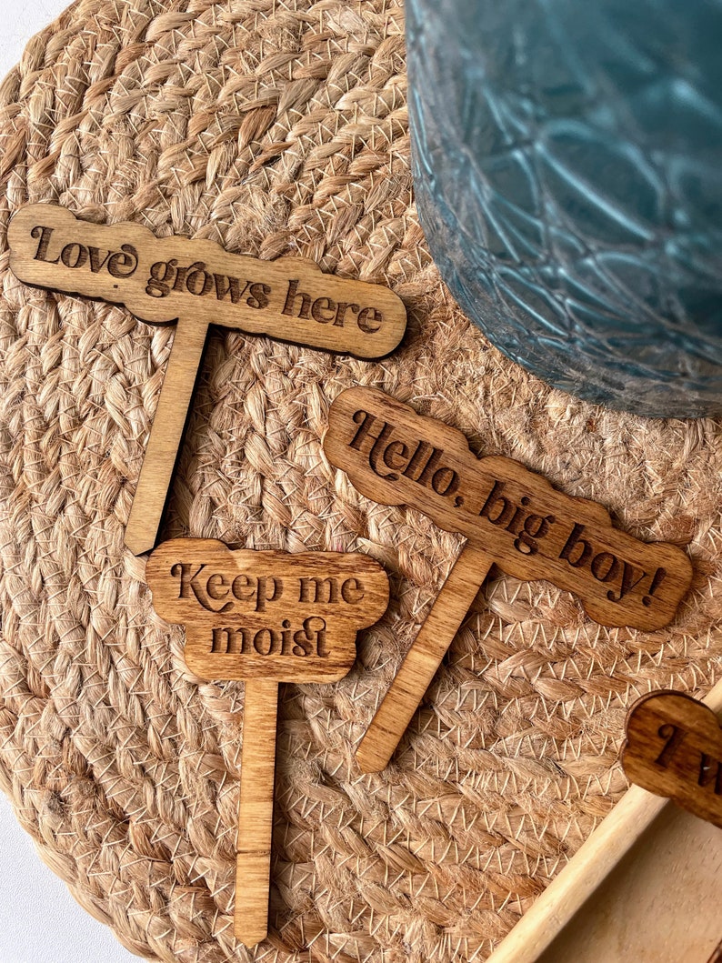 Lustige Pflanzenstecker Pflanzenmarkierer Garten Dekor Zimmerpflanzen Zubehör Pflanzenmarkierer aus Holz Einweihungsparty Geschenk Lehrer Pflanze Geschenk Bild 4