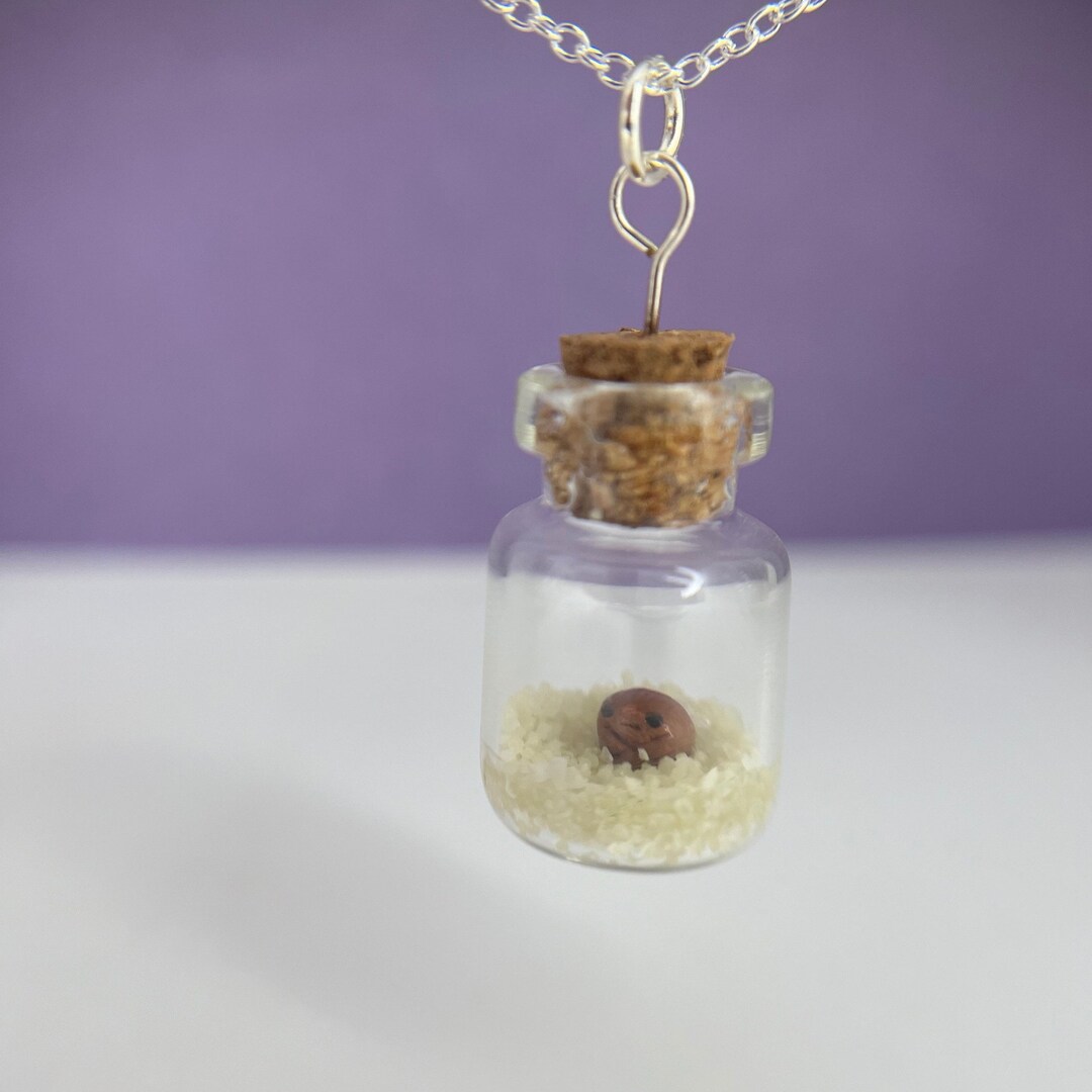 Tiny Grumpy Desert Rain Frog Bottle Pendant Necklace - Etsy
