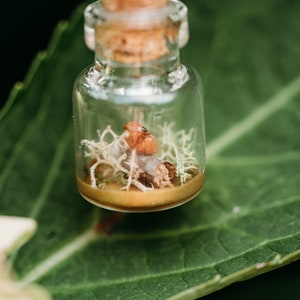 Tiny Toad Bottle Pendant Necklace