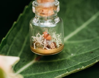 Tiny Toad Bottle Pendant Necklace