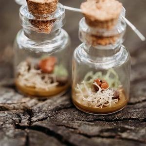 Tiny Toad Bottle Earrings