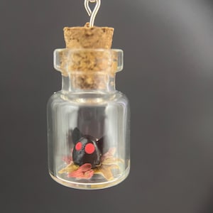 Op de afbeelding: Een klein glazen flesje met een kurken stop, met daarin een zwart en rood wezen met rode ogen en gedroogde bladeren. Het flesje hangt aan een zilveren ketting.
