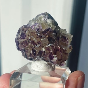 Purple Bunny Pocket Okorusu Fluorite - Etsy