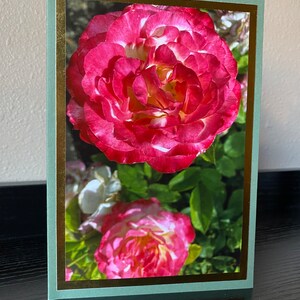 Biglietto fotografico floreale doppia rosa rosa