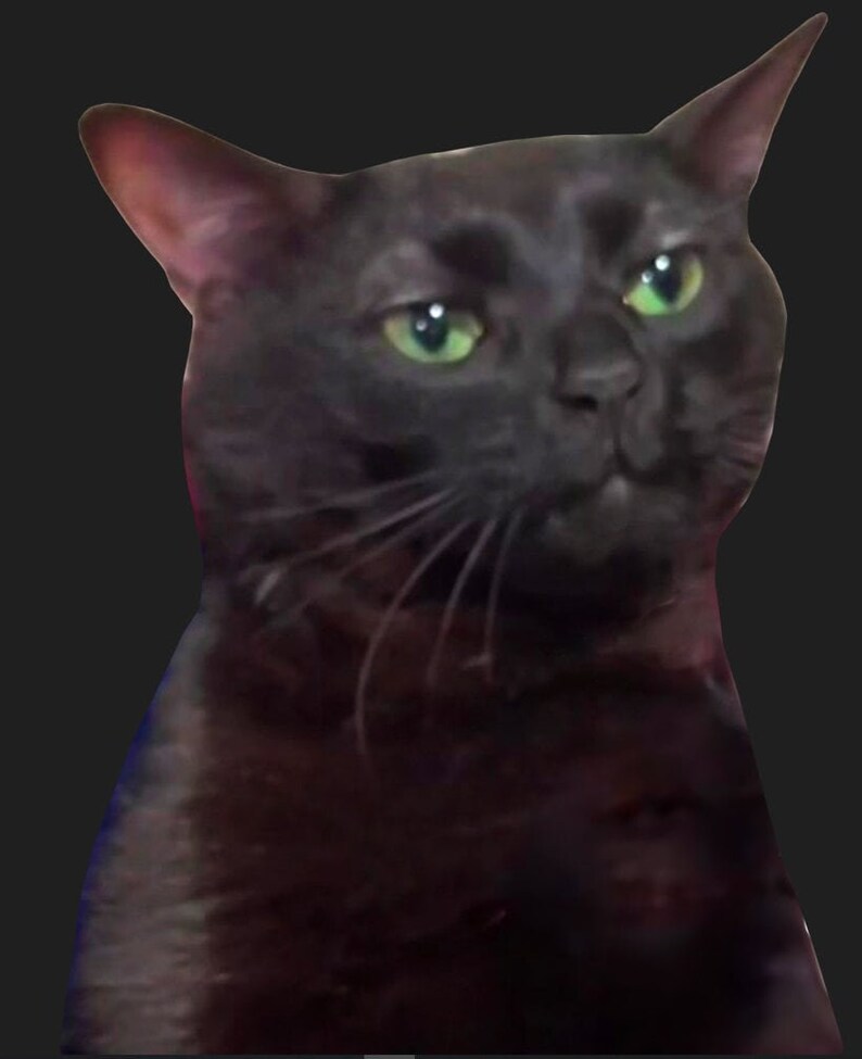 Zoned Out Black Cat Sticker Etsy