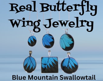 Real Butterfly Wing Jewelry - Pendants - Blue Mountain Swallowtail - Handmade -Silver-Plated Pendants -Silver Snake Chain Included