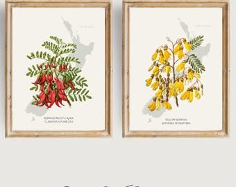 Printable Kowhai Flower Art Set - New Zealand Botanical Prints with Map Silhouette (Digital Download)