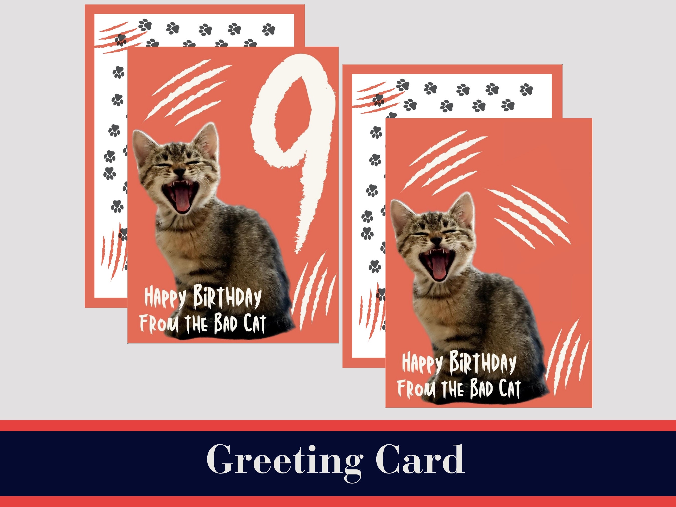9+ Cat Birthday Wish