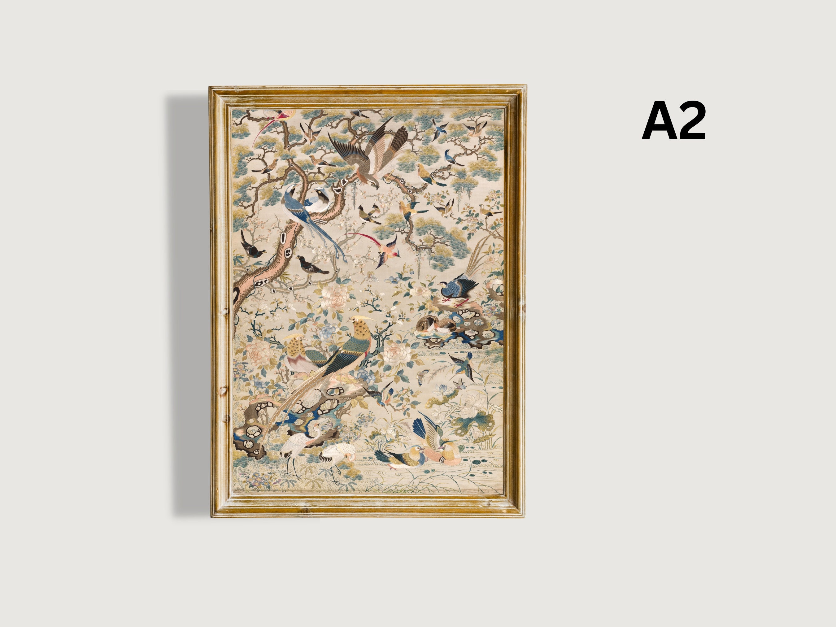 Fine Art Bird Print Set - Vintage Nature Illustrations & Tapestry for ...