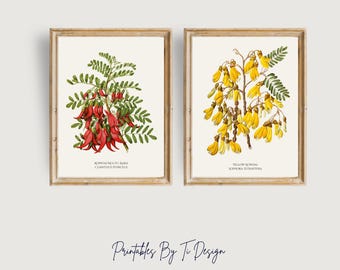Kowhai Flower Print Set - Vintage New Zealand Botanical Art (Digital Download)