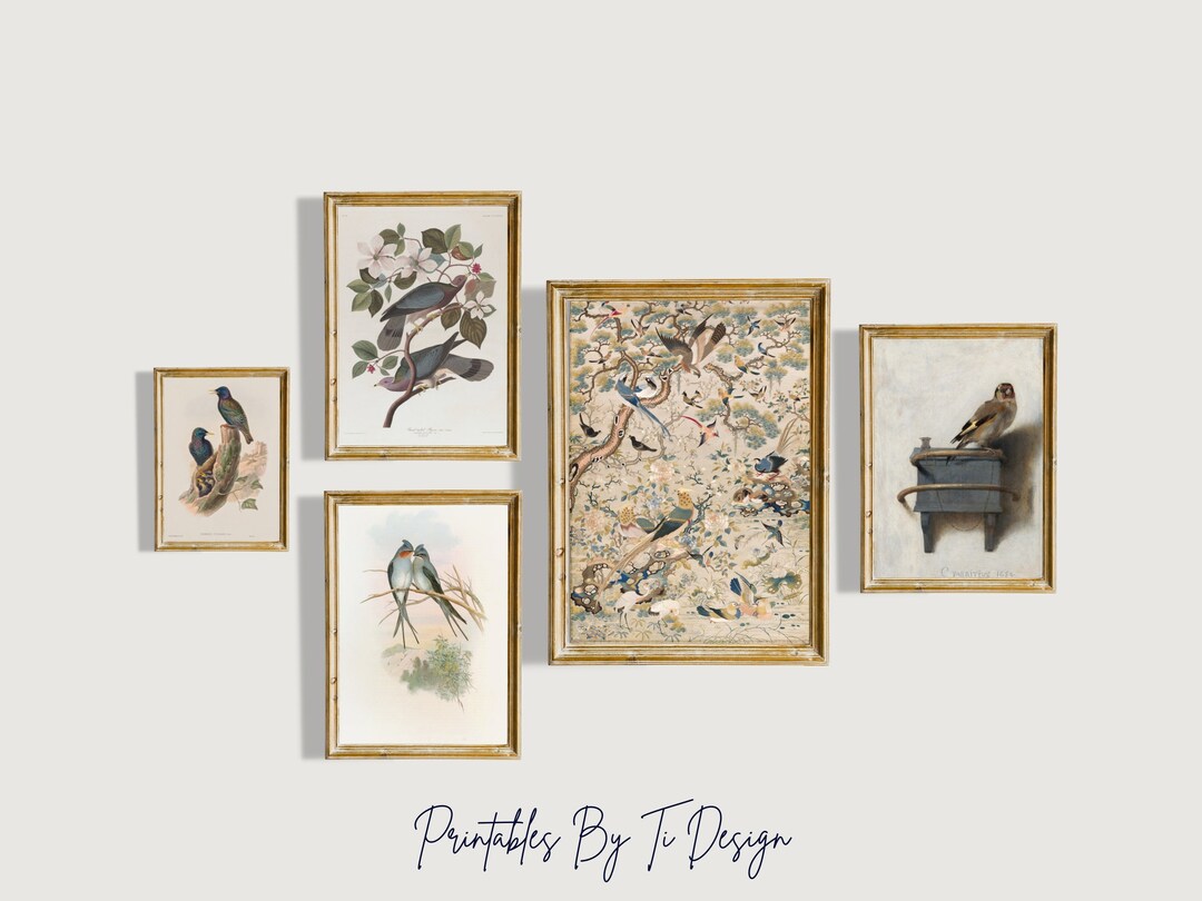 Fine Art Bird Print Set - Vintage Nature Illustrations & Tapestry for ...