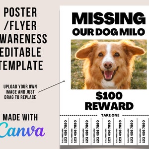 May include: A missing dog poster with a photo of a brown and white dog with a black nose and big brown eyes. The poster says "MISSING OUR DOG MILO" and offers a $100 reward. The poster has multiple phone numbers to call with the message "CALL MESSAGE".