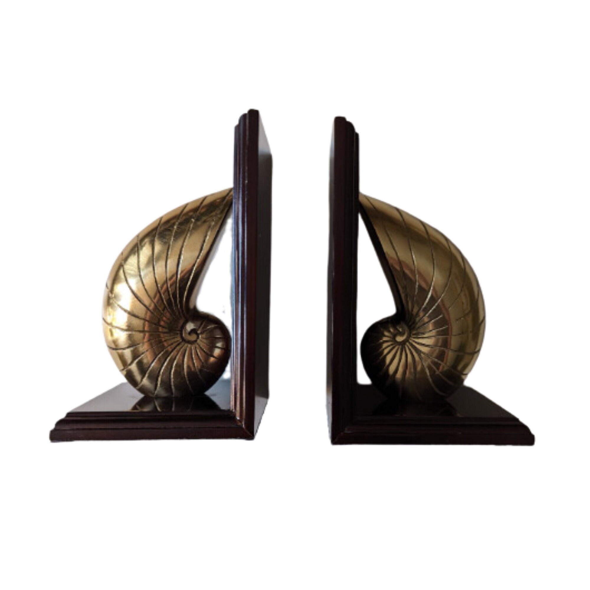French Brass Nautilus Shell Paper Weight Bookend Objet d'Art Decor - Ruby  Lane