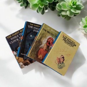 Set of (4) &#39;The Hardy Boys&#39; Books / Vintage books / Hardy Boys / Book set