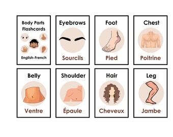 Franska kroppsdelar arbetsblad | Lärande flashcards för barn (PDF-mönster)