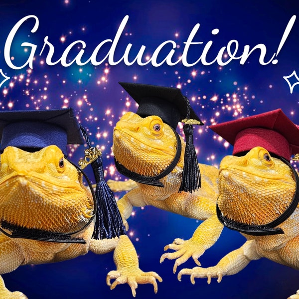 2024 Graduation Hats for bearded dragons & Other Small Pets!