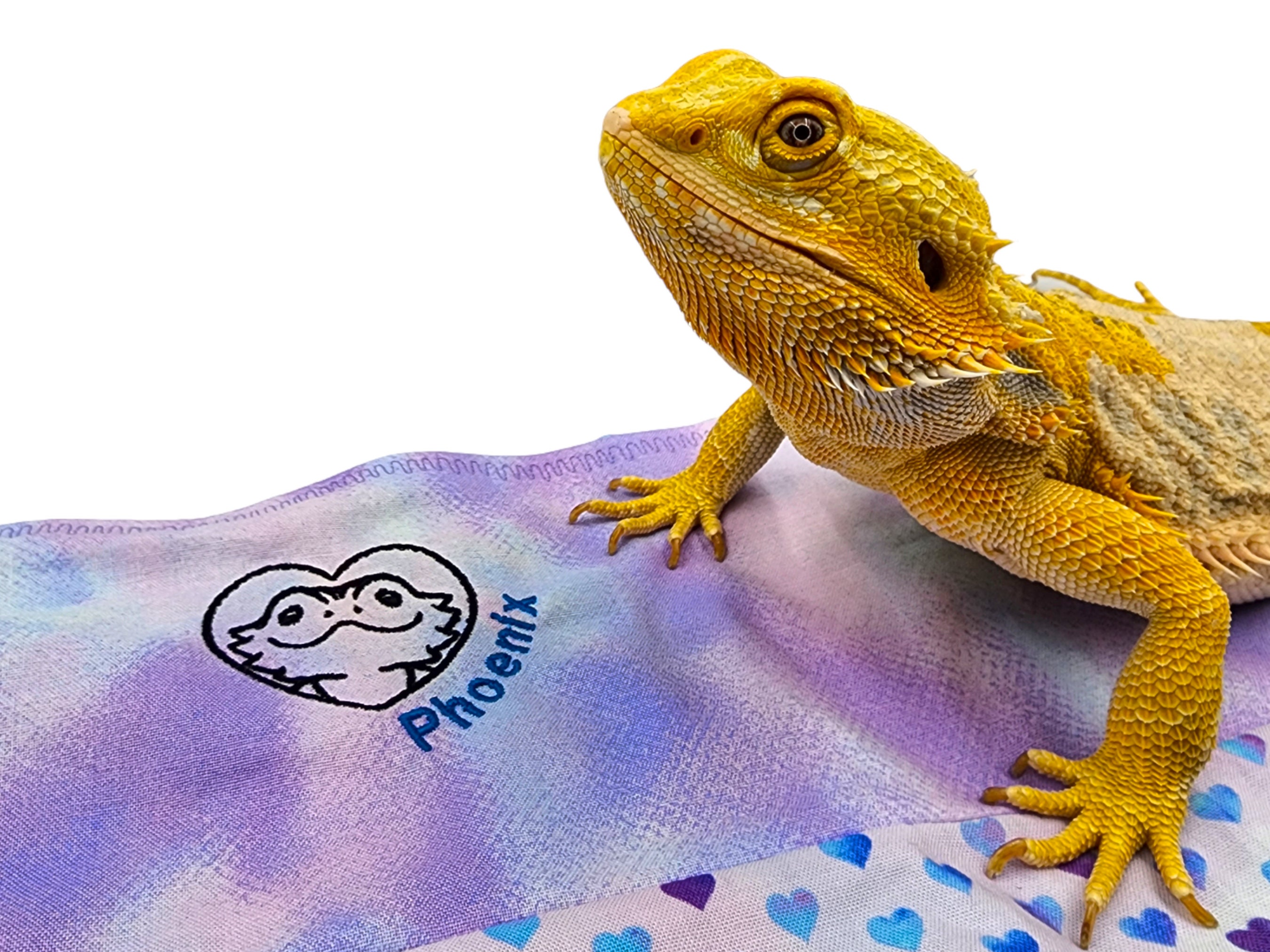 Personalized Embroidered Bearded Dragon Blanket With a Etsy