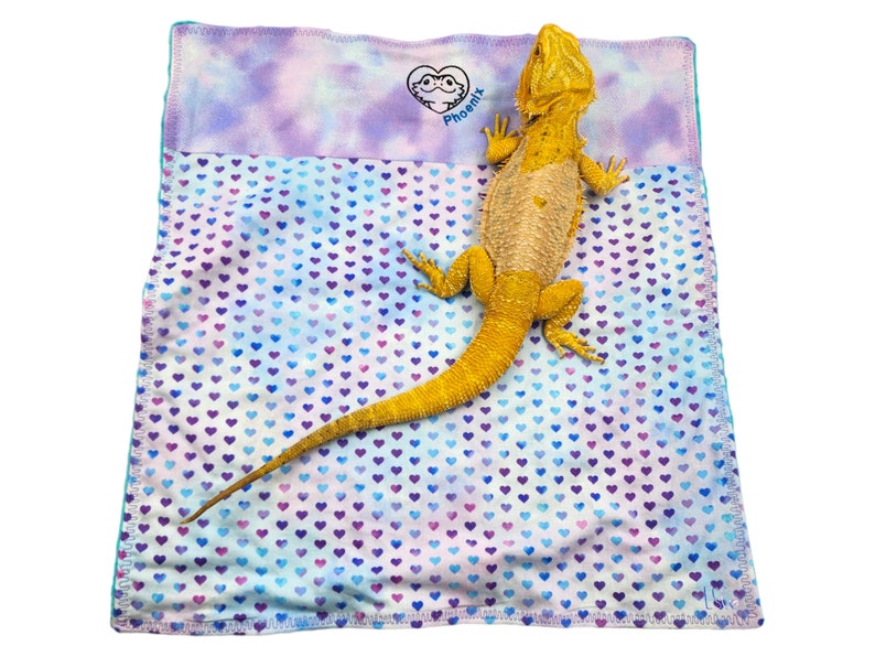 Personalized Embroidered Bearded Dragon Blanket With a Etsy
