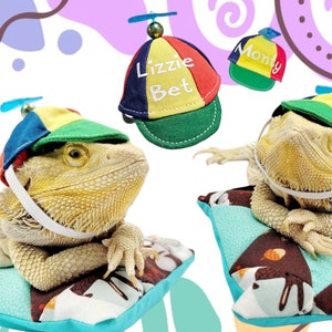 Helicopter Hat For Bearded Dragon and other Small Animal!