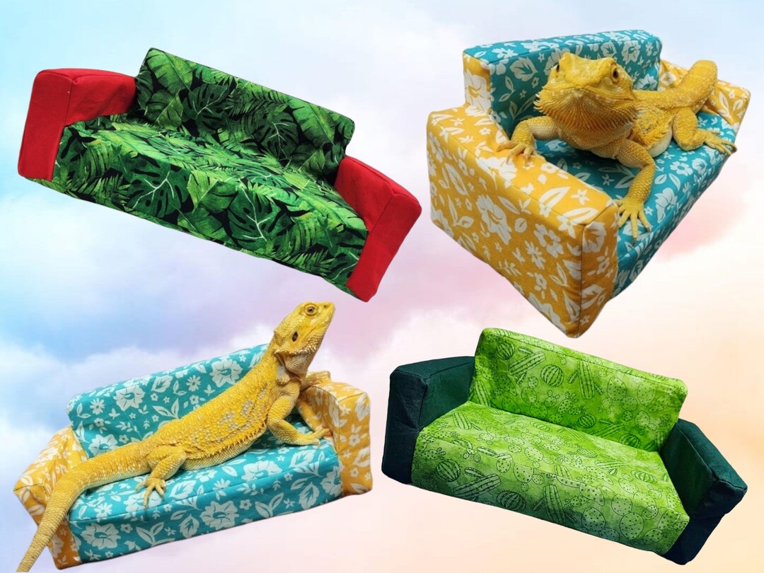 Sofa Couch for Bearded Dragons and Small Pet Etsy