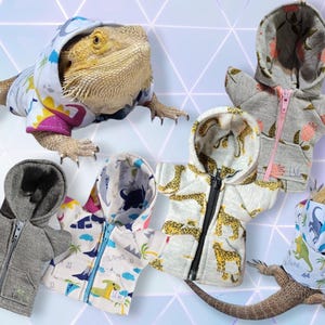 Limited Edition Zip-up Hoodie For Bearded Dragons!