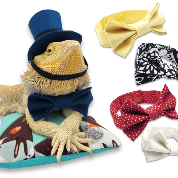 Bearded Dragon Accessories for Tank Etsy