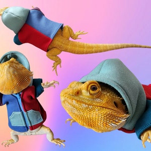 80s/Early 90s Multi Color Hoodie for Bearded Dragons