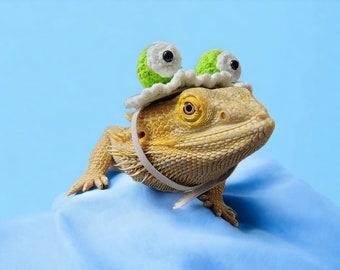 Crochet Frog Eye Hat for Bearded Dragons and Small Pets. Matching Hair Clip For Adults/Teens/Kids