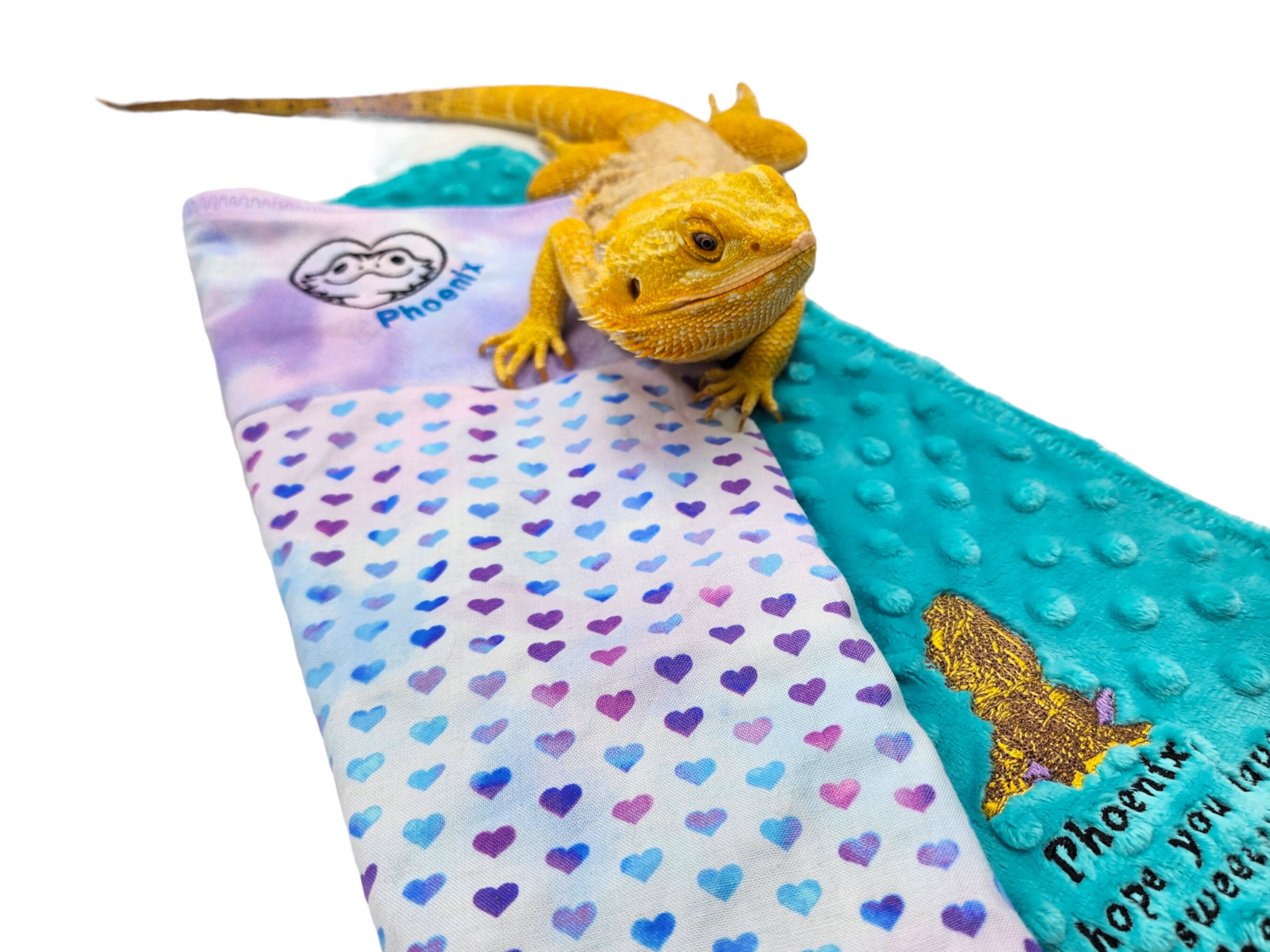 Personalized Embroidered Bearded Dragon Blanket With a Etsy
