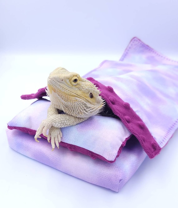 Cozy Bed Set for Bearded Dragon's Etsy