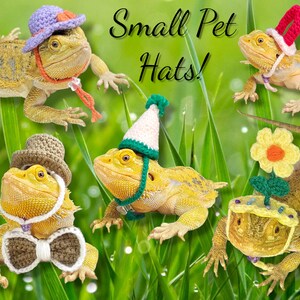 May include: Five bearded dragons wearing different crocheted hats. The hats include a purple and white sun hat, a brown fedora, a white and green party hat, a red Santa hat, and a yellow flower hat. The bearded dragons are sitting on a bed of green grass. The text "Small Pet Hats!" is written in white letters on a black background.