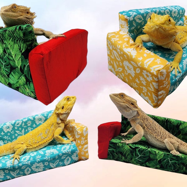 Bearded Dragon Couch Etsy