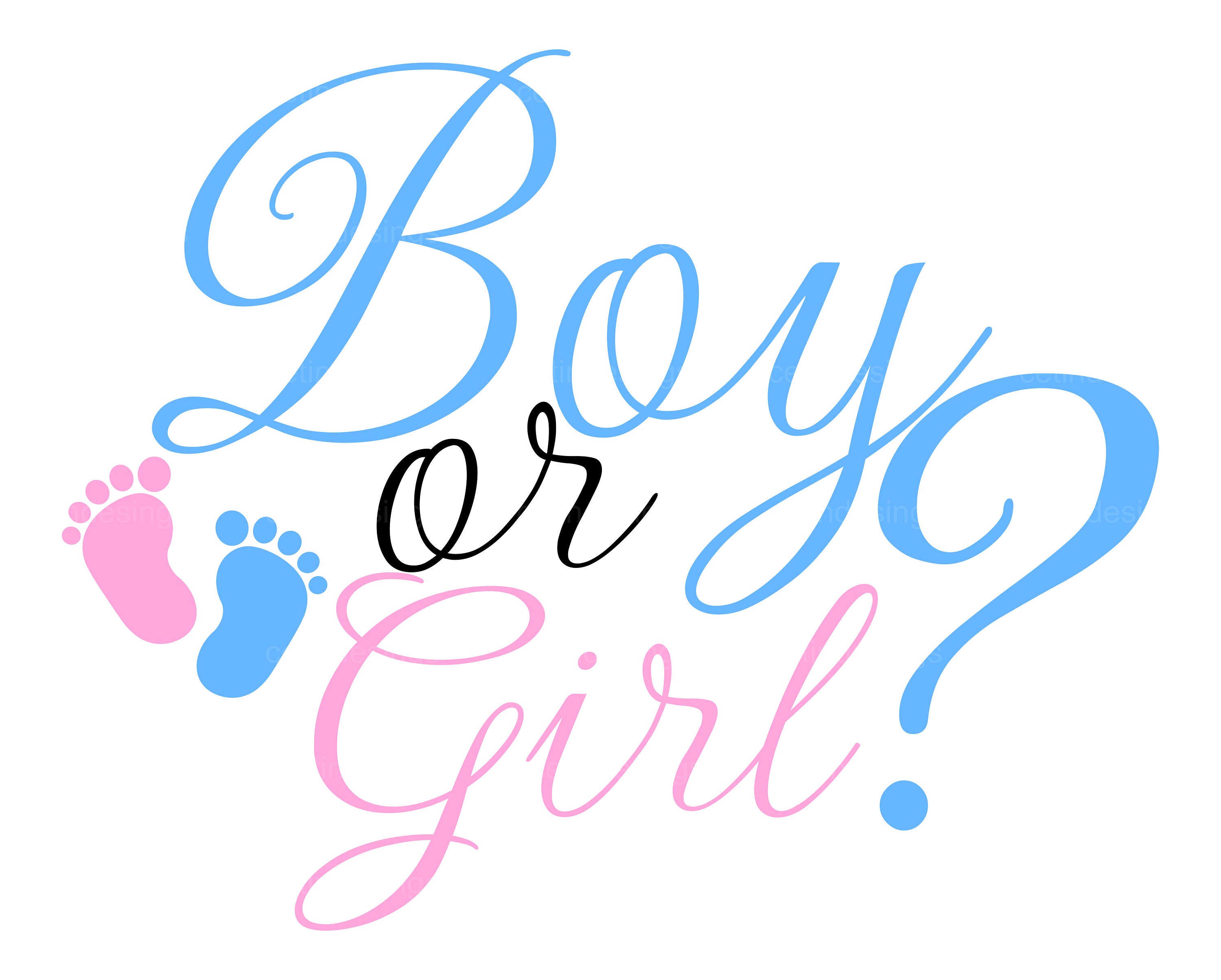 Boy or Girl SVG Gender Reveal Svg Gender Svg Baby Svg Girl or Boy Clipart  Baby Reveal Svg -  Denmark