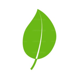 ícone de folha, folha svg, folha png, folha jpg, folha eps, folha pdf, clipart de folha, vetor de folha