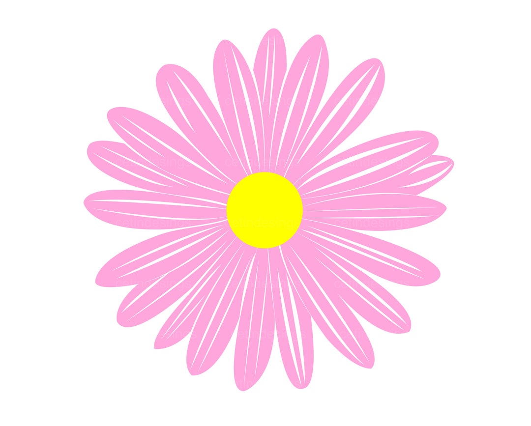 Daisy SVG Flower SVG Spring SVG Digital Download Cricut Silhouette