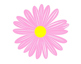 Daisy ꔛ‬ෆ Callie® Purple | Syngenta Flowers