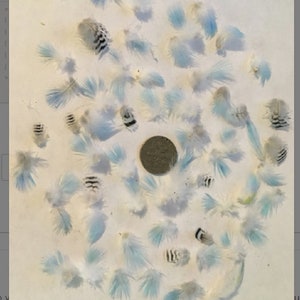 Natural TINY Budgie Plumage Feathers for Creativity - Cruelty-Free, Craft Supplies, Fly Tying Materials, Art Projects - 50+ Pieces