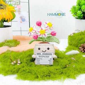 May include: A crocheted flower pot with a smiling face and a label that reads "MRS. JOHNSON Nutrition Facts" with a list of qualities and percentages. The pot is sitting on a bed of green moss.